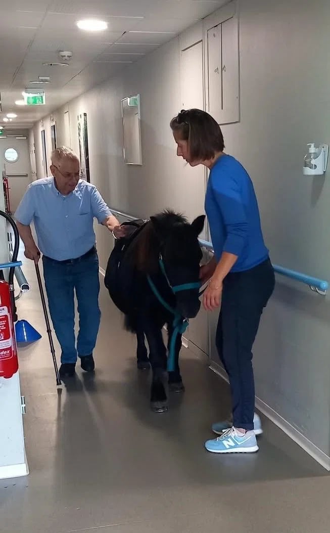 Cheval dans un Ephad avec homme âgé