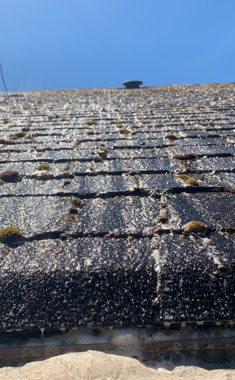 Roof Cleaning Service In Federal Way, WA