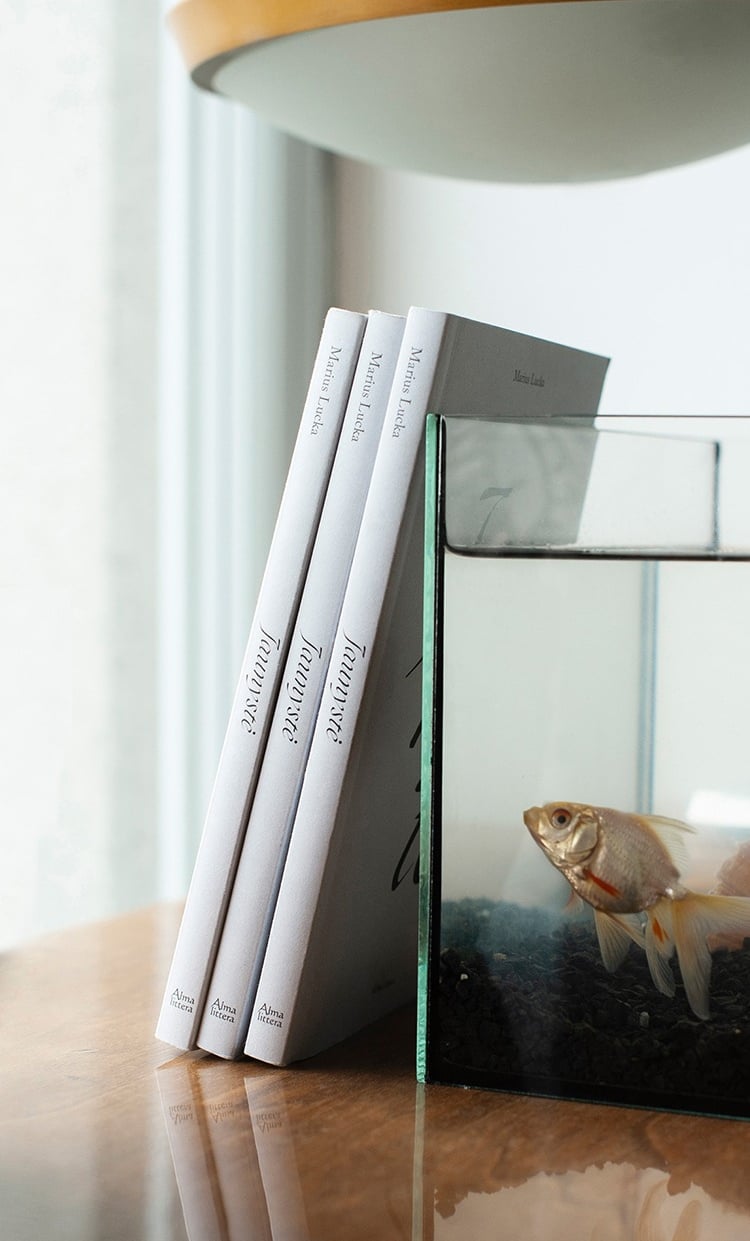 "Jaunystė" book illustrations