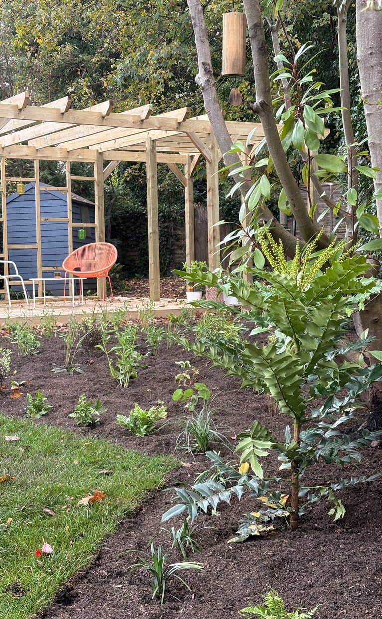 Tranquil yoga garden in South East London with calming planting