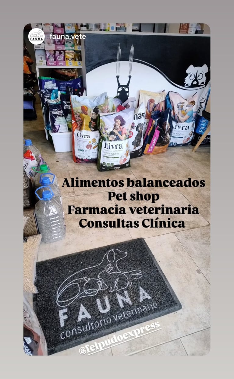 Felpudo personalizado con logo felpudo express 11