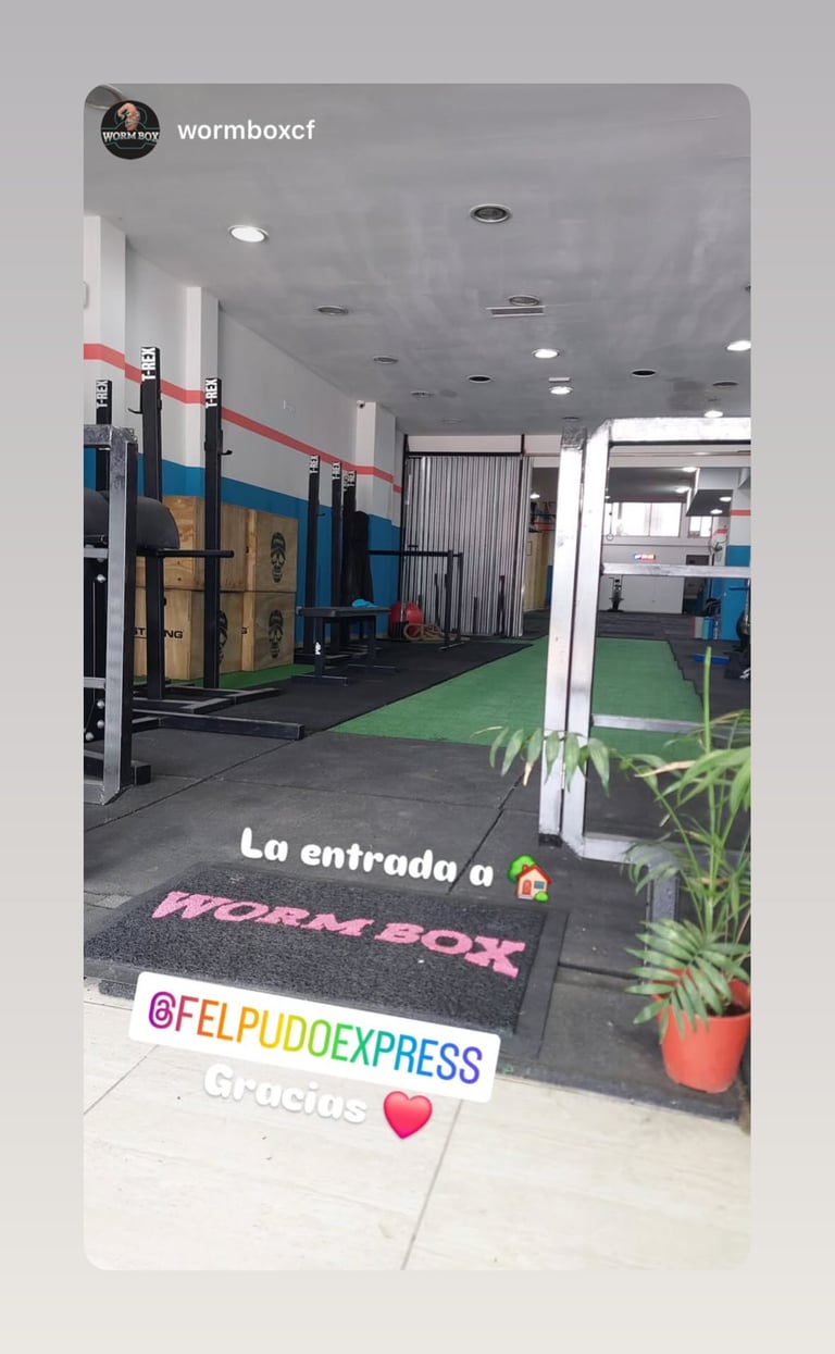 Felpudo personalizado con logo felpudo express 5