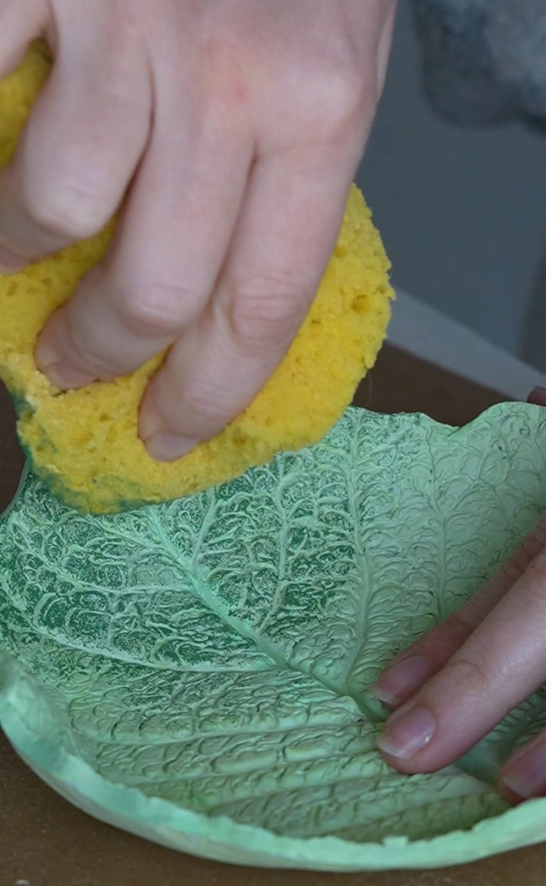 une coupelle chou plus vrai que nature maison agave