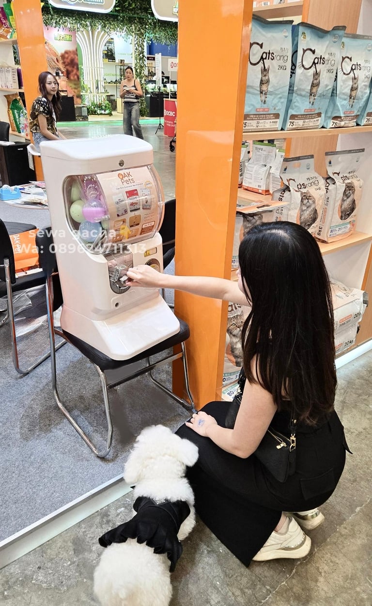 sewa mesin gacha putih mini 