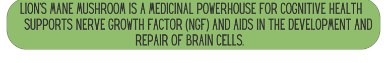 Mane Brain™ offers premium mushroom-based wellness products designed to support focus, memory,.