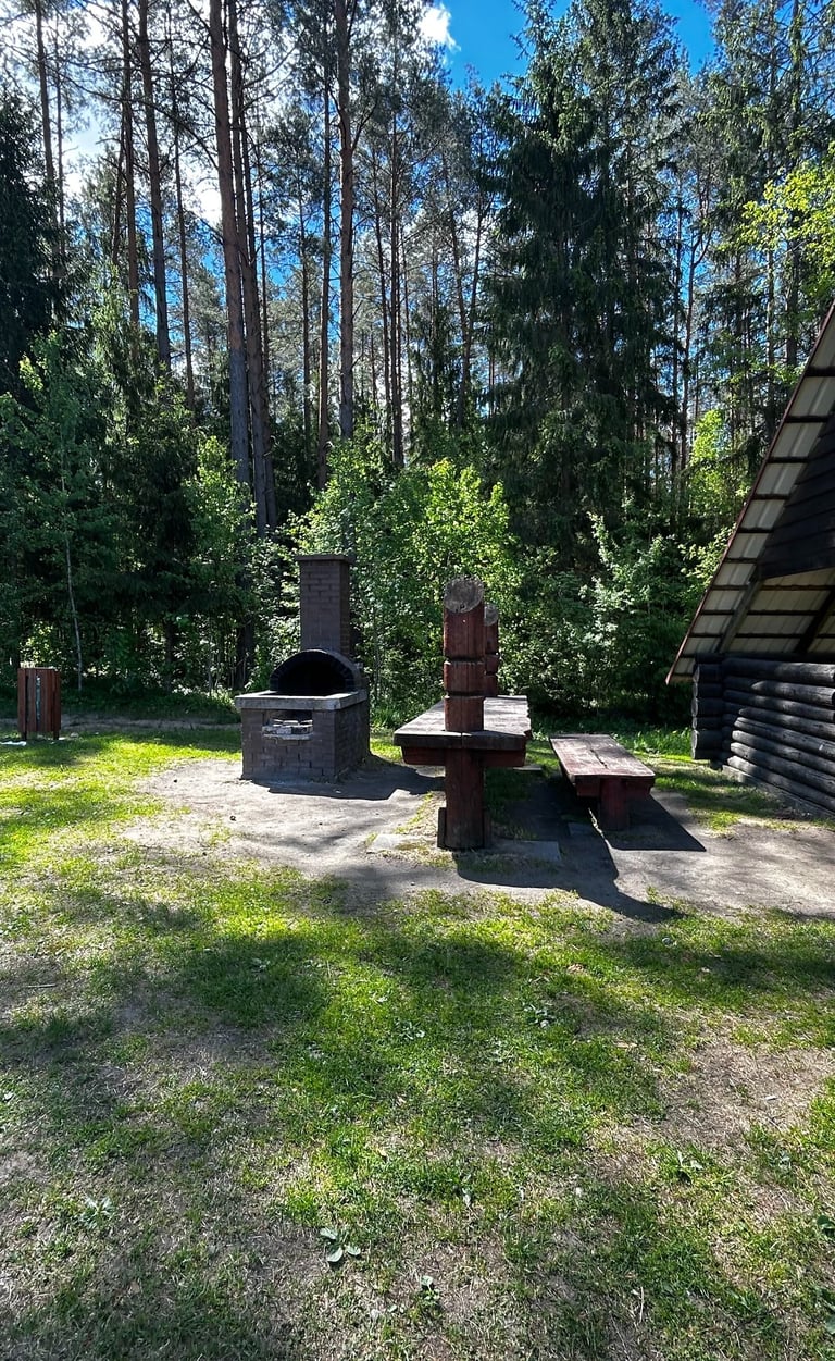 Supraśl, Podlasie, Kopna Góra, Żubr