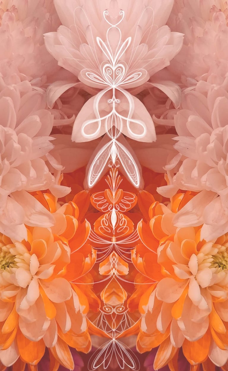 ilustración digital sobre fotografia floral