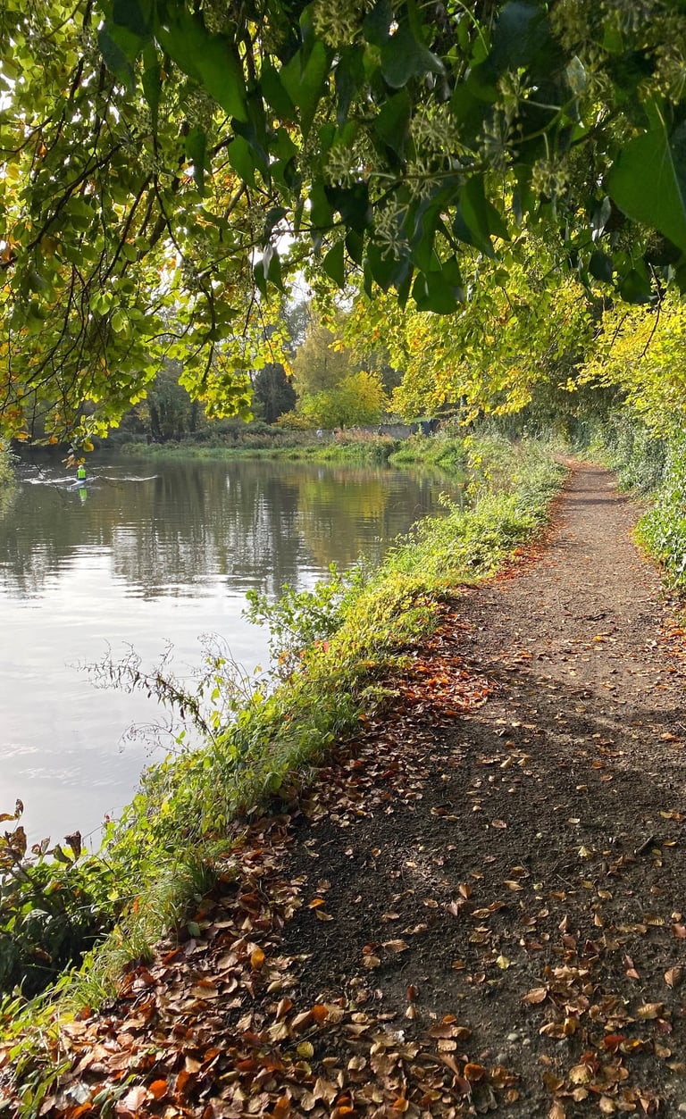 Counselling and psychotherapy services in Rickmansworth, in person and online, individuals & couples