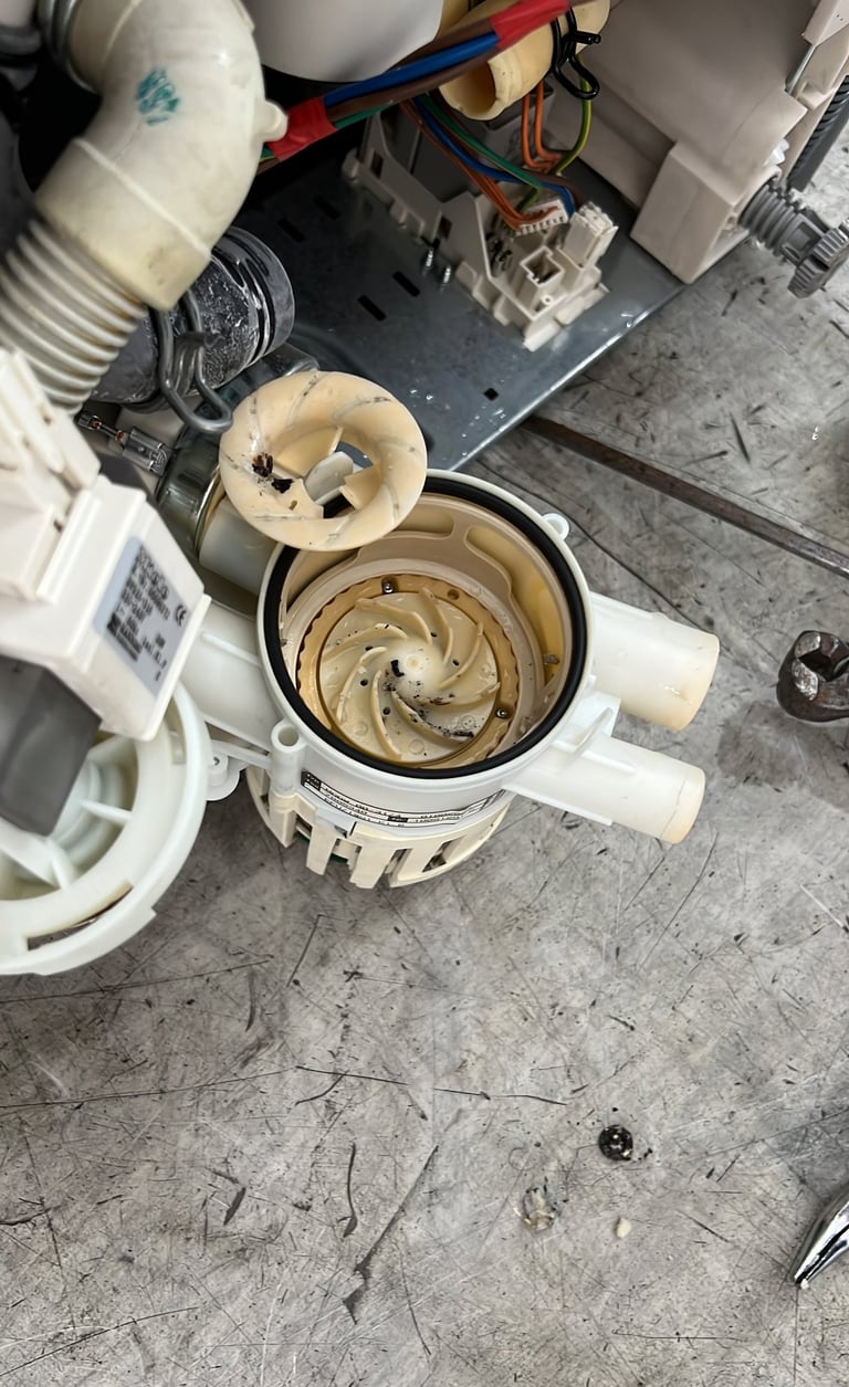 Miele Service Berlin