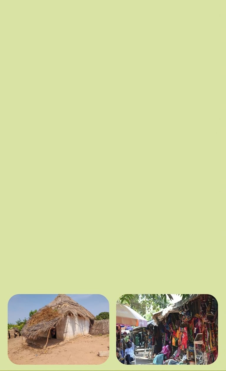 gambia experience natuur cultuur en eeuwenoude tradities