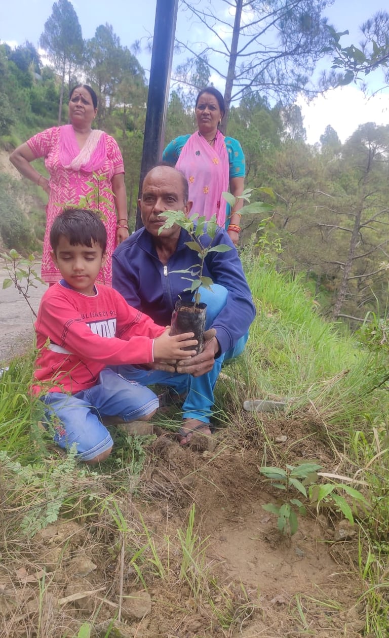 Tree plantation in Uttarakhand