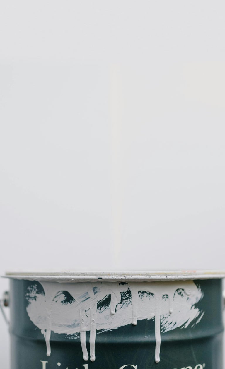 AB pintores expertos Rivas Vaciamadrid