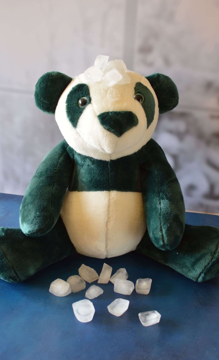 Peluche placée au congélateur pour éliminer les microbes
