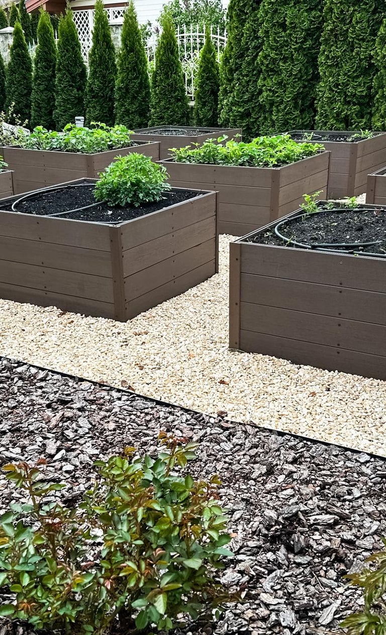 Garden area with raised wooden beds and drip systems on gravel, framed by fir trees acting as a natu