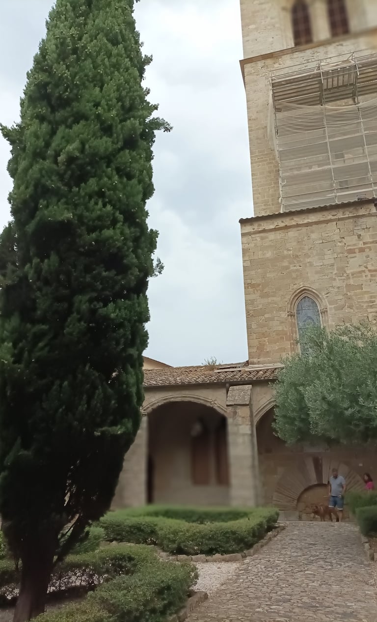 The simple Cloisters