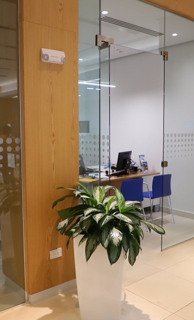 Sosa + Arquitectos: Innovación y Diseño