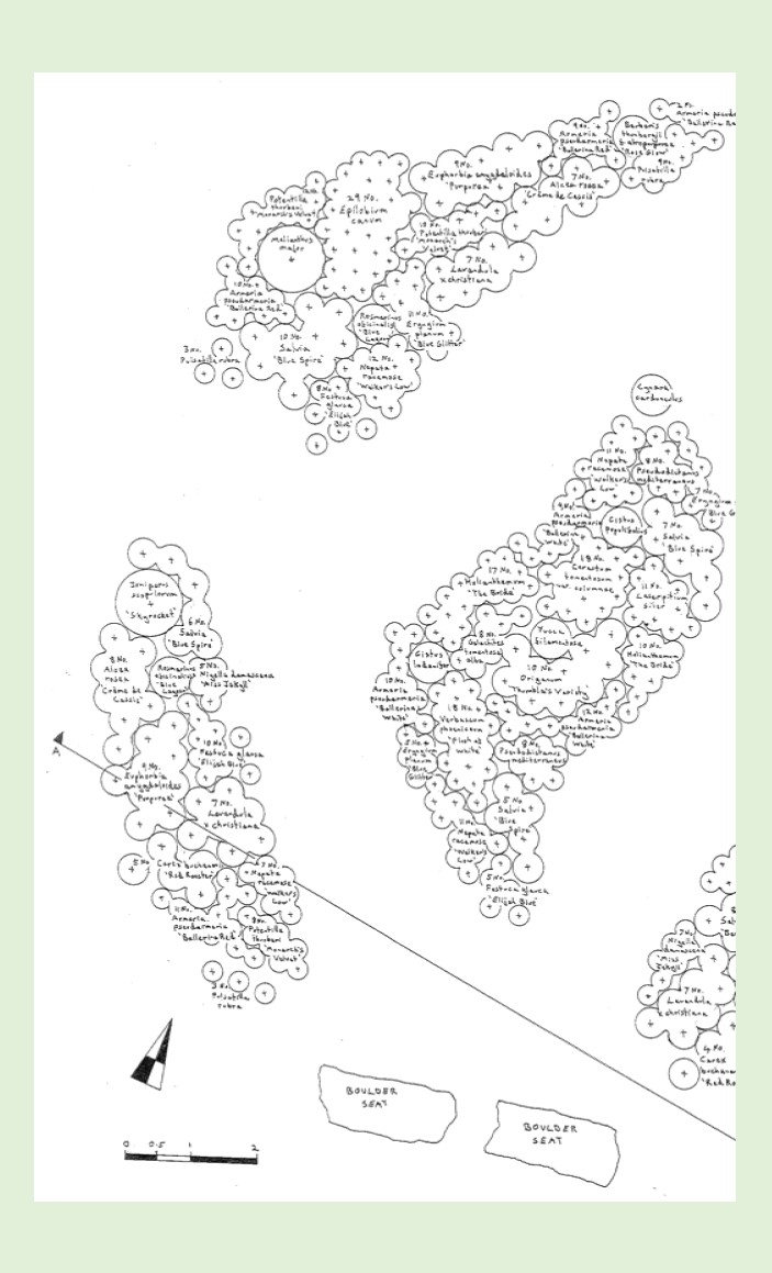 Gravel garden with resilient Mediterranean-style plants