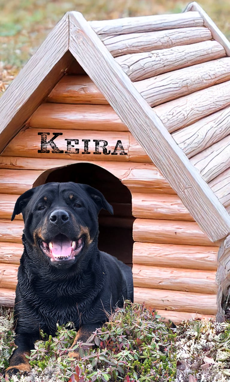 A dog house with a rottweiler sitting in the grass. The dog’s name is Keira, the namesake of our biz