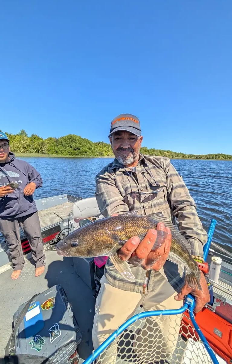 Рыбалка в Патагонии Чили с русским гидом на лосося чинок форель полный сервис