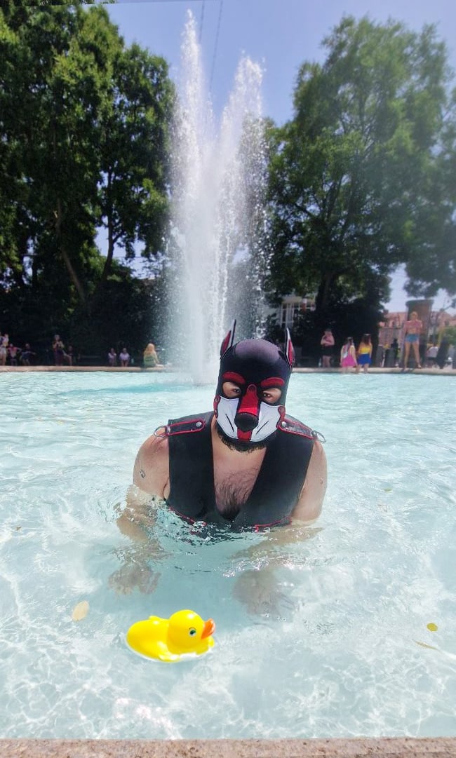 A man in a public fountain wearing a pup mask.