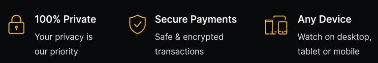 Icons for 100% private data, secure payments with encryption, and streaming on any device.