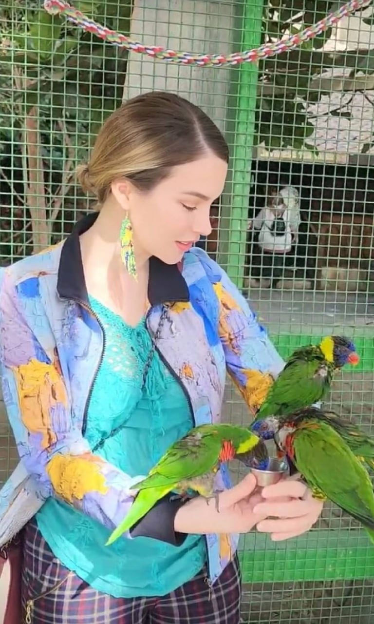 Aria with parrots