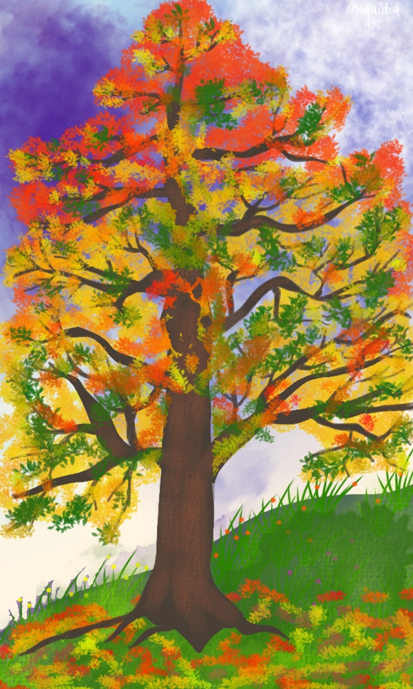 illustration arbre magique Zarabia conte enfant