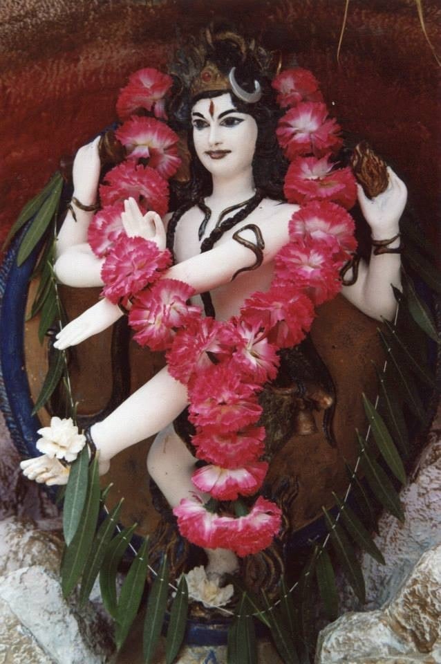 Shiva Nataraja, Anand Puri Ashram, Chiliyanaula, India