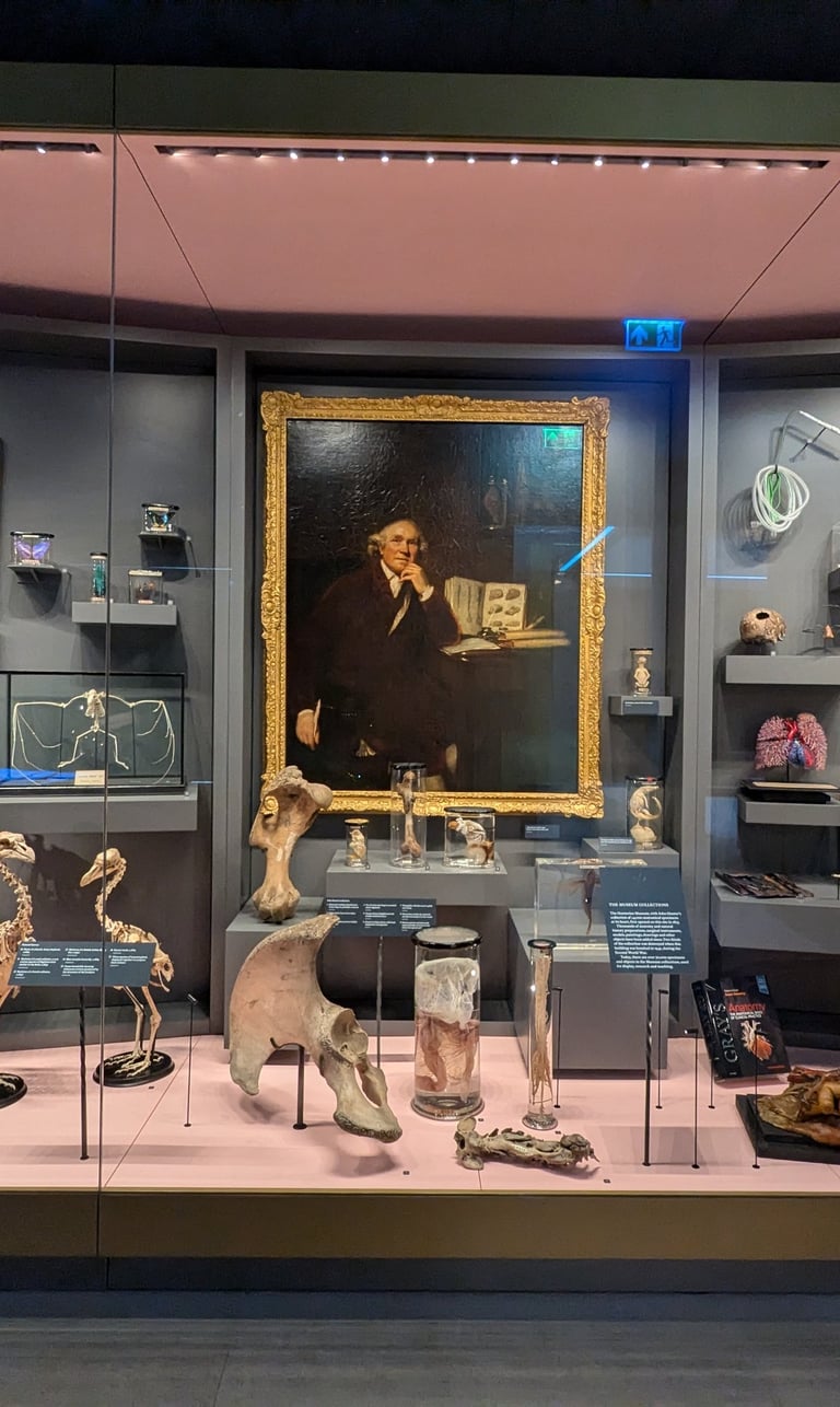 A case in the Hunterian Museum, London.
