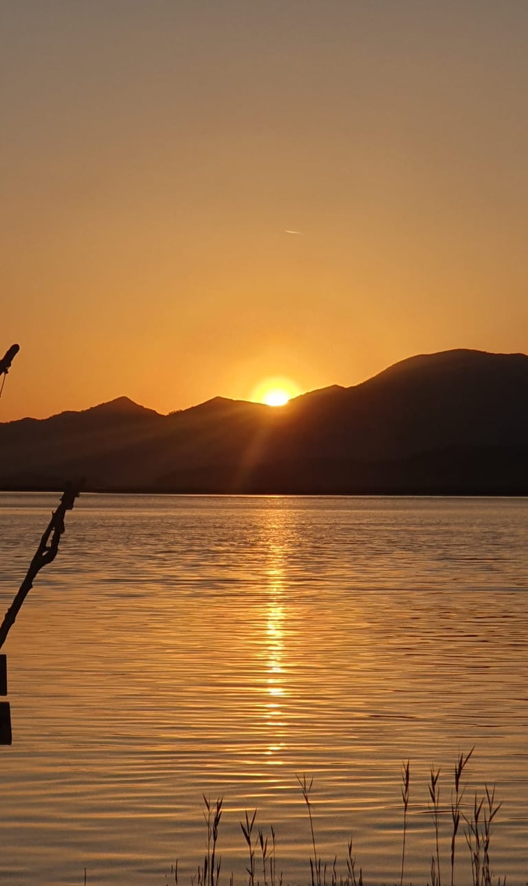a sunset over a lake with a tree in the foreground