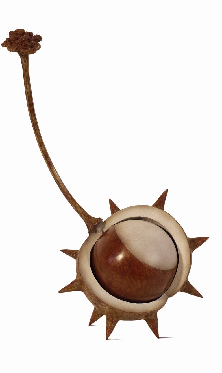 Bronze Sculpture Horse Chestnut Conker By Mark Richard Hall Sculptor