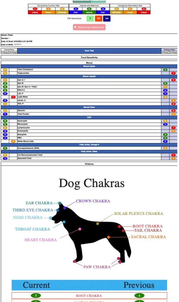 a dog is shown in this infographic