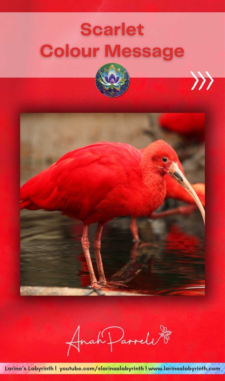 Colour message: Power of Scarlet Red. Colour Healing, Color Healing