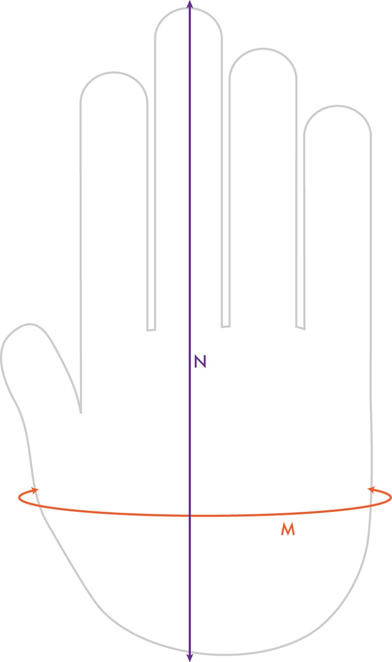 Illustrated hand showing measurement placement for custom made leather gloves.