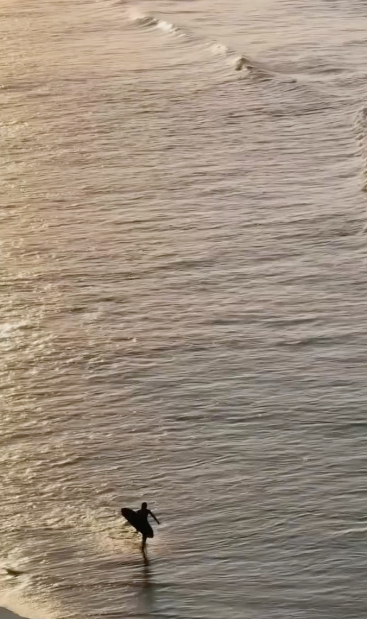 Arvia Villa Koala Park on the doorstep of the best of the Gold Coast's beaches