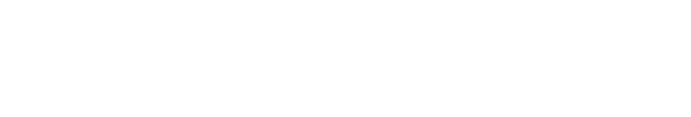 pioneer logo white