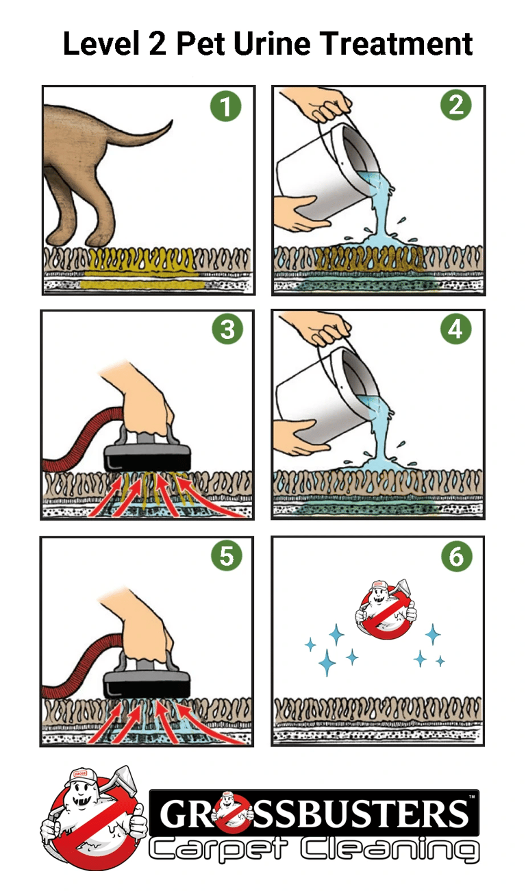 Grossbusters Pet Urine Removal, Level 2 - Diagram