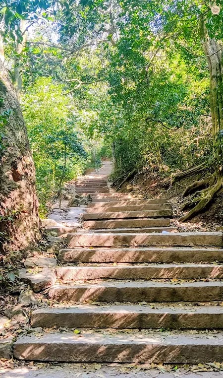 Stone stairway leading to the summit of Nandi Hills, surrounded by mist and hilltop greenery near Bengaluru.