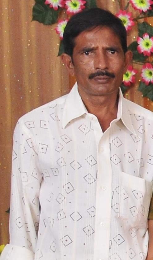 scribezonee director