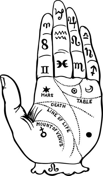 quirologa
