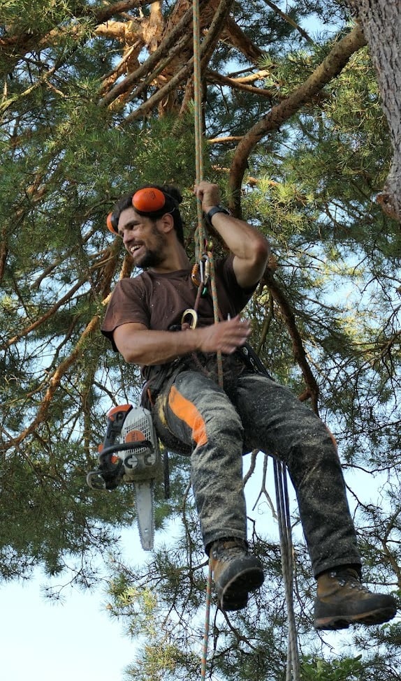 arboriste grimpeur suspendu à un arbre 