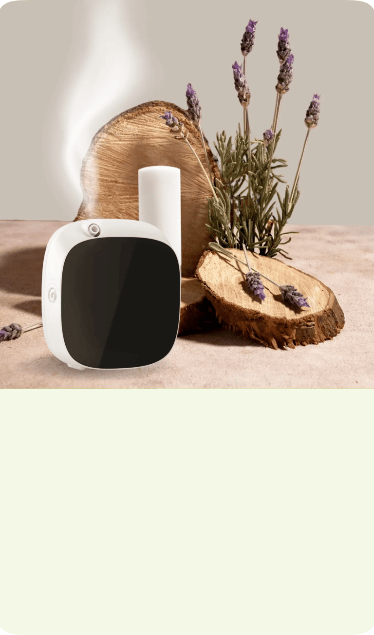 Transforma tus espacios con nuestros sistemas de aromatización