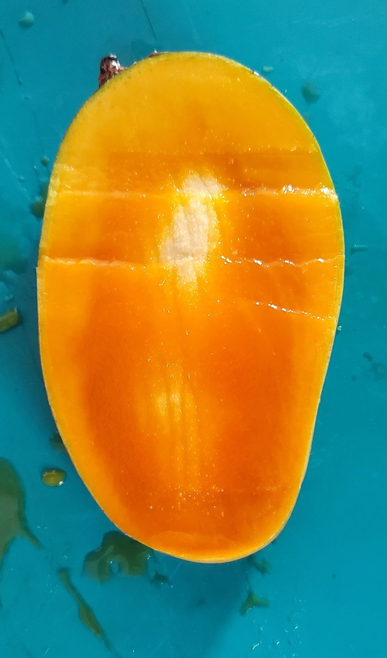 A fresh sliced half of a ripe yellow mango with juicy orange pulp, grown at Luro Grove, Miami.