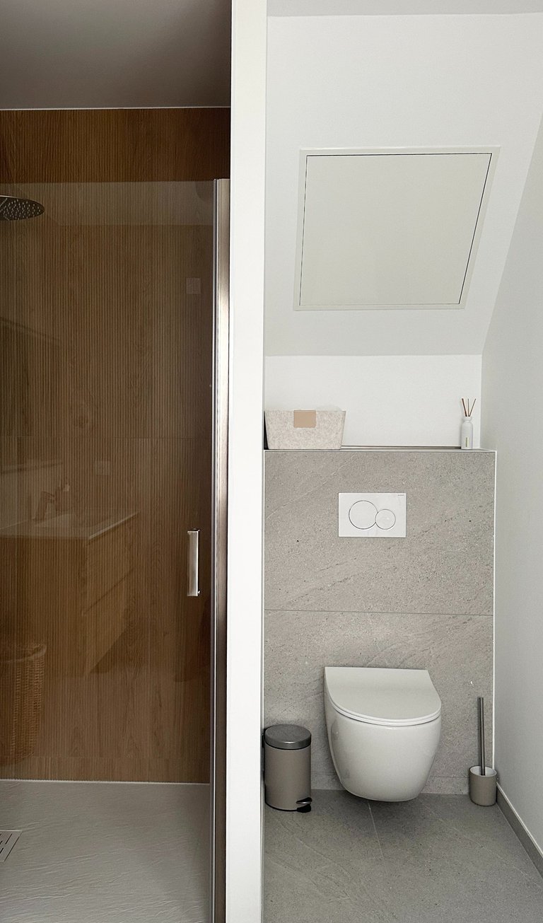 a bathroom with a toilet and a shower