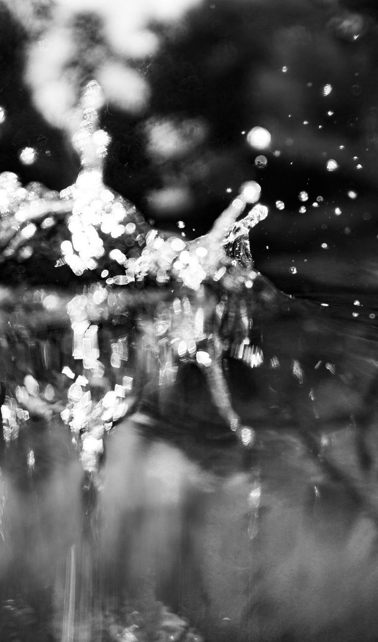 Black and white abstract macro photography of water splashing with sparkling bokeh droplets.