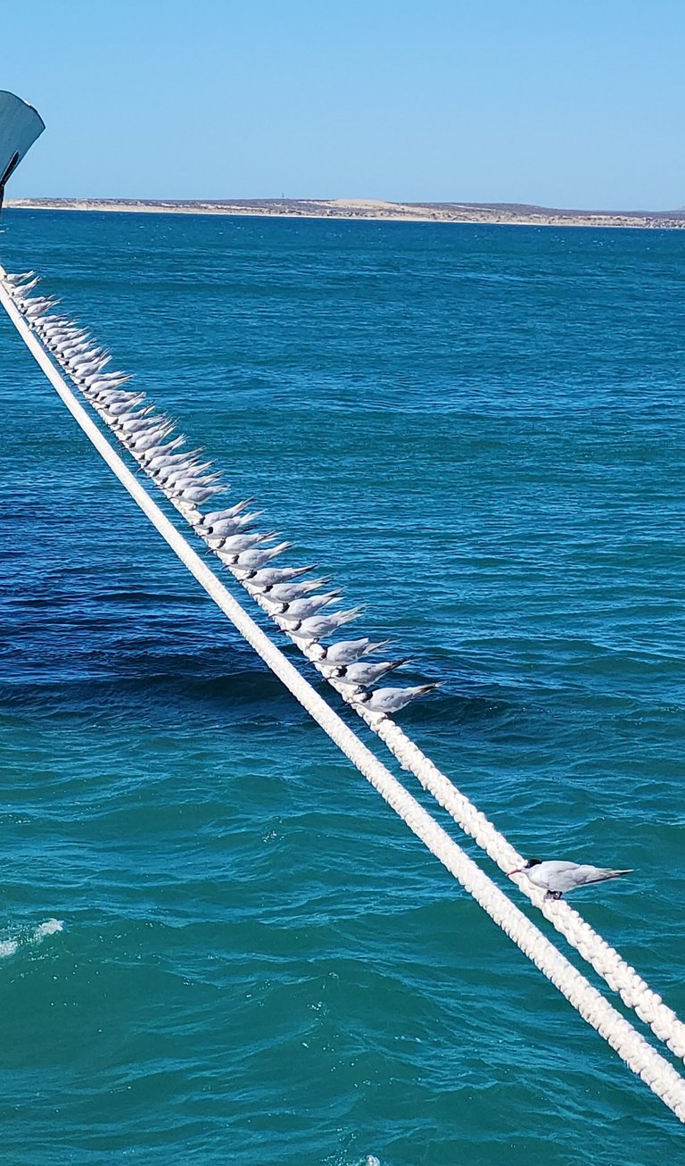 Sometimes you need some alone time in Puerto Madryn, Argentina