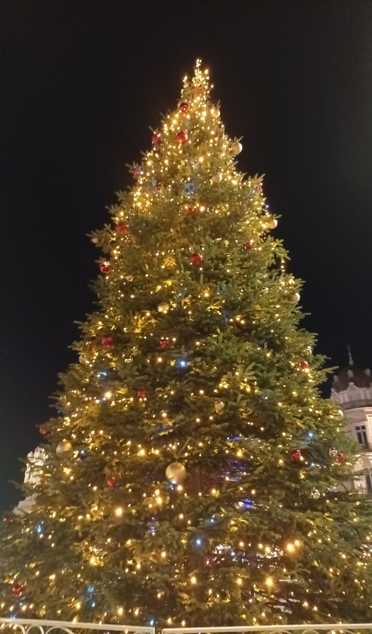 Christmas Fir Place de le Comédie >Montpellier