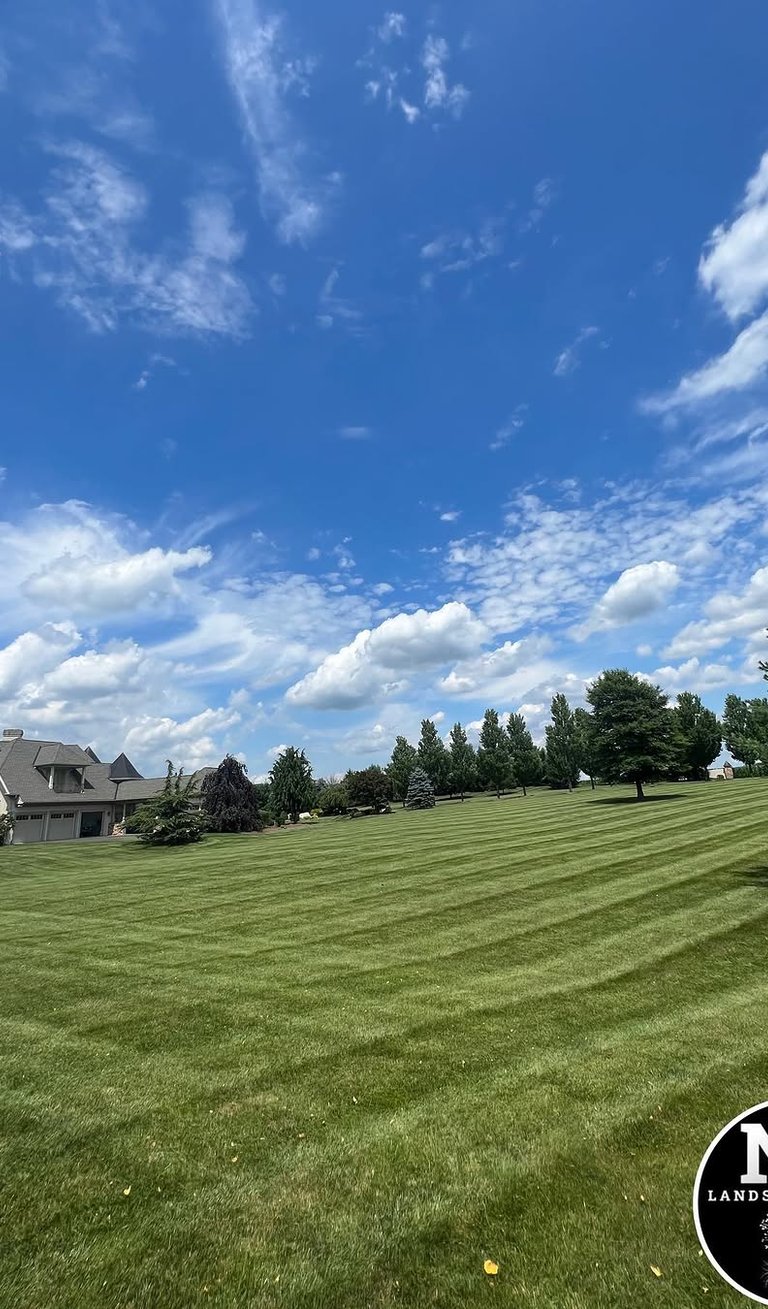 excellent landscaping and hardscaping of grass, stones and trees by NP Landscaping