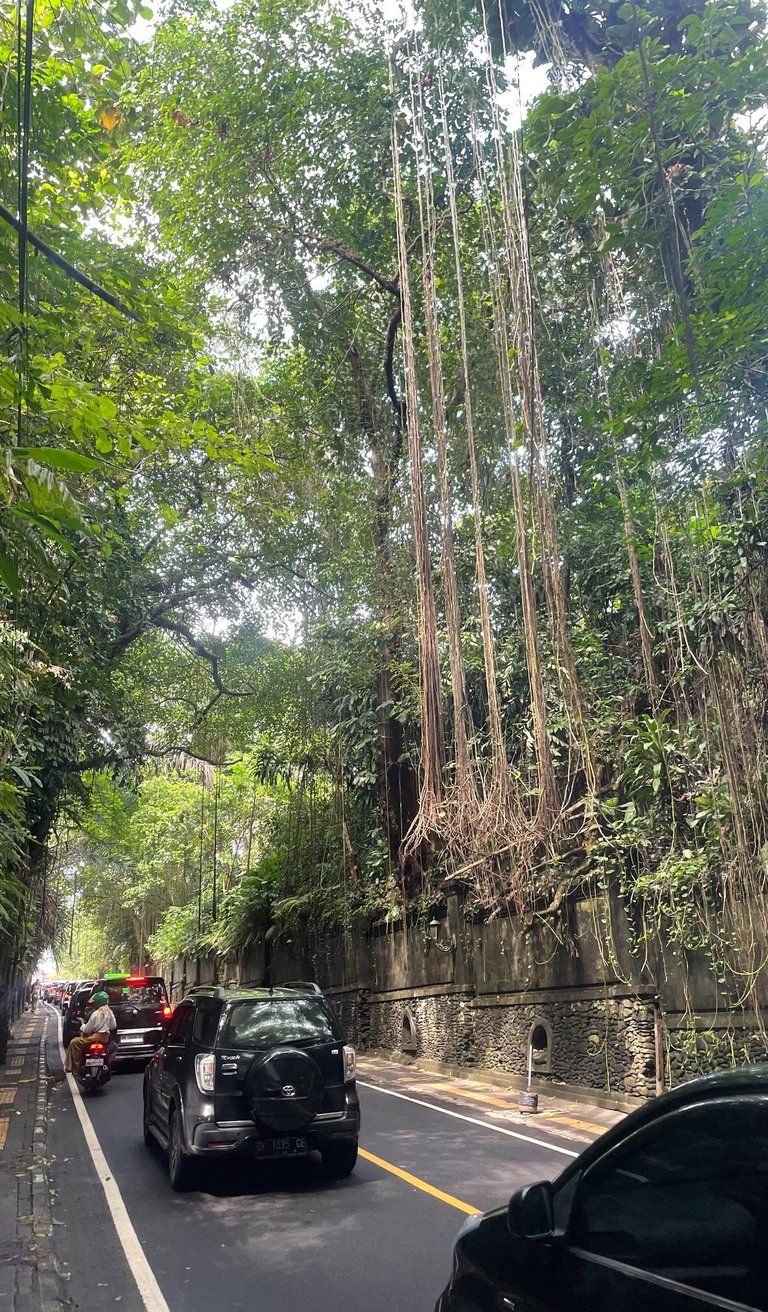 Ubud Bali