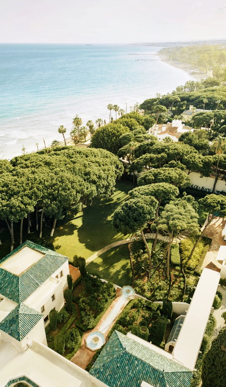 Aerial view of beachfront estate with pine grove and Mediterranean coastline
